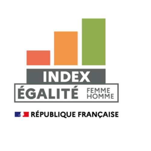 Sans titre (94).png Déclaration de l'index égalité professionnelle Femmes-Hommes