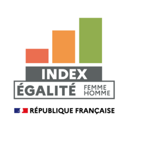 Déclaration de l'index égalité professionnelle Femmes-Hommes